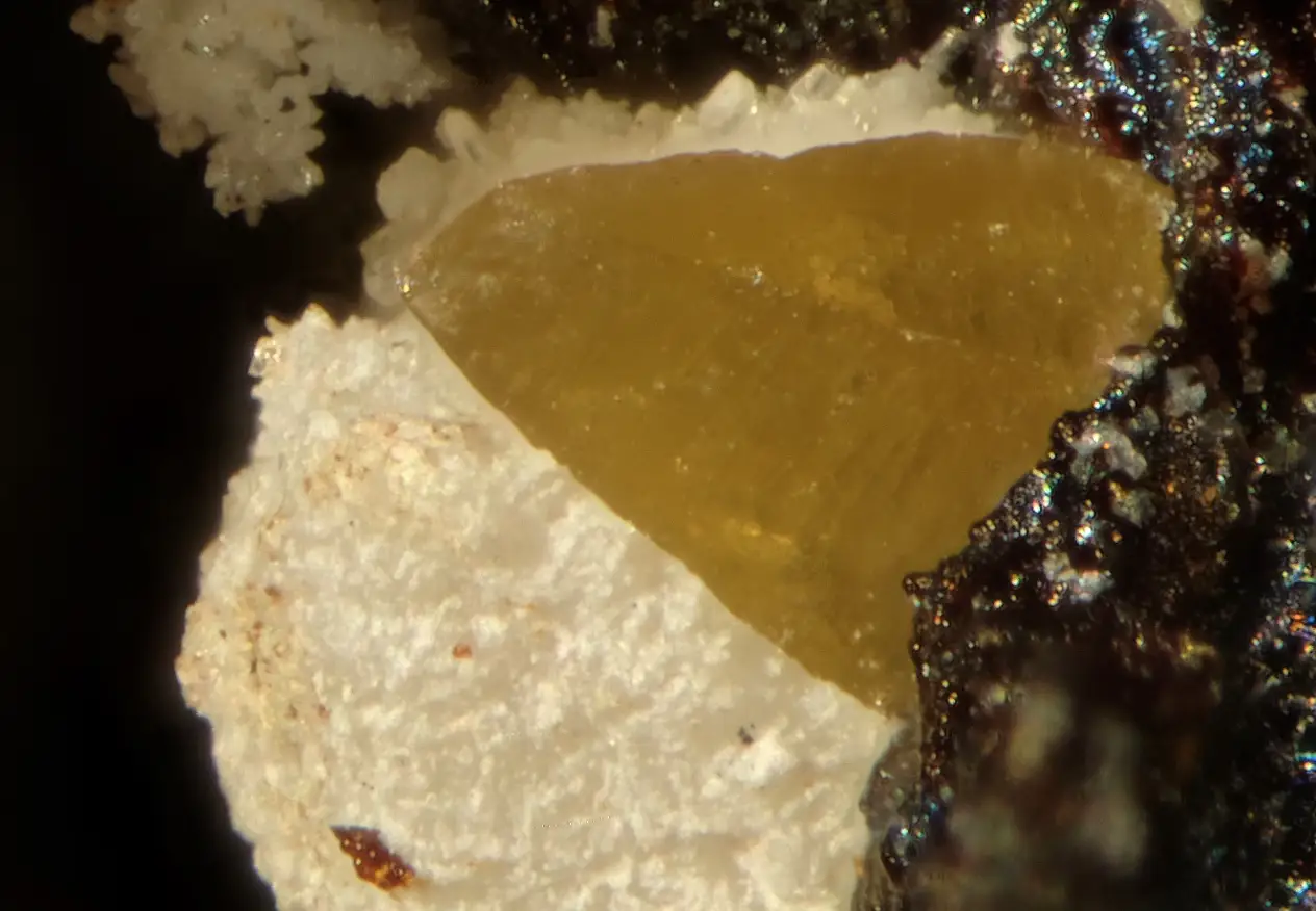 Mineralogia e Petrografia - Musnob