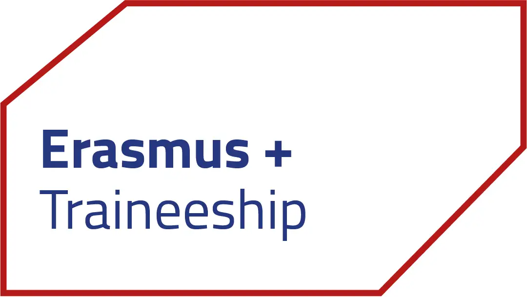 Erasmus+ Traineeship